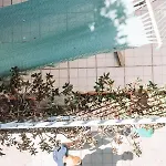 Vandrarhem Urban Garden