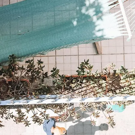호스텔 어번 가든 포르토 센트럴