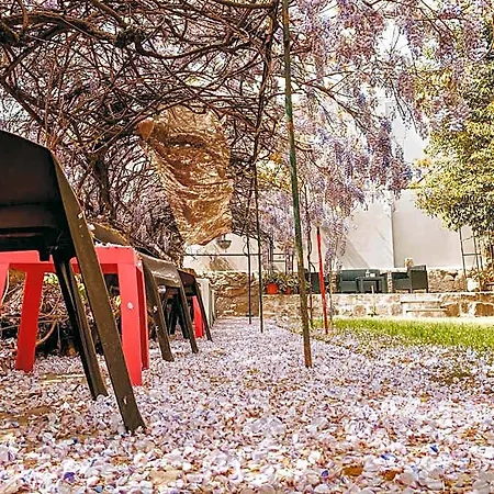 Urban Garden Vandrerhjem *
