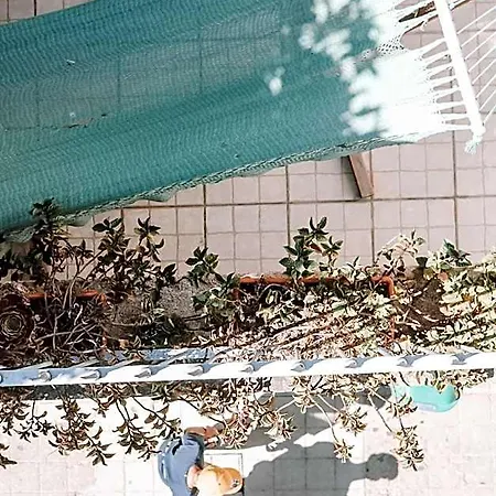 Urban Garden אכסניה