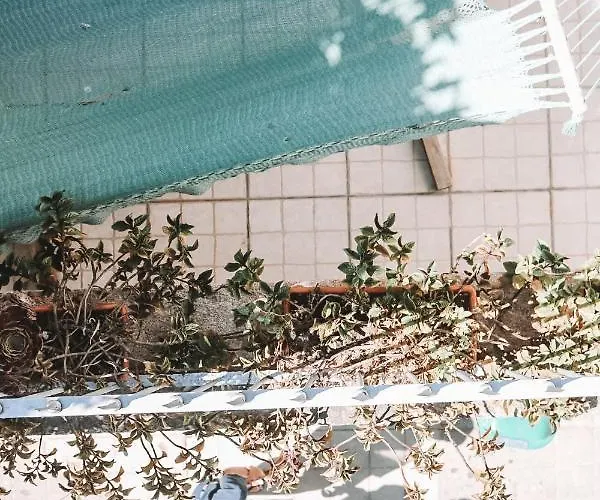 호스텔 어번 가든 포르토 센트럴