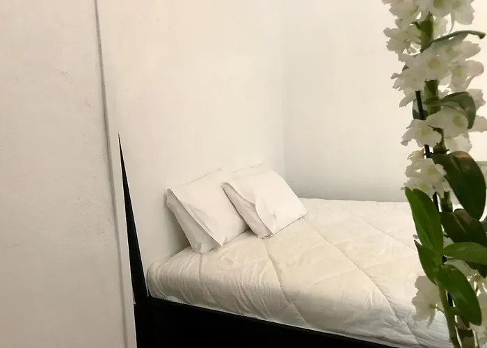 어번 가든 포르토 센트럴 호스텔