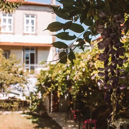 Hostel Urban Garden *